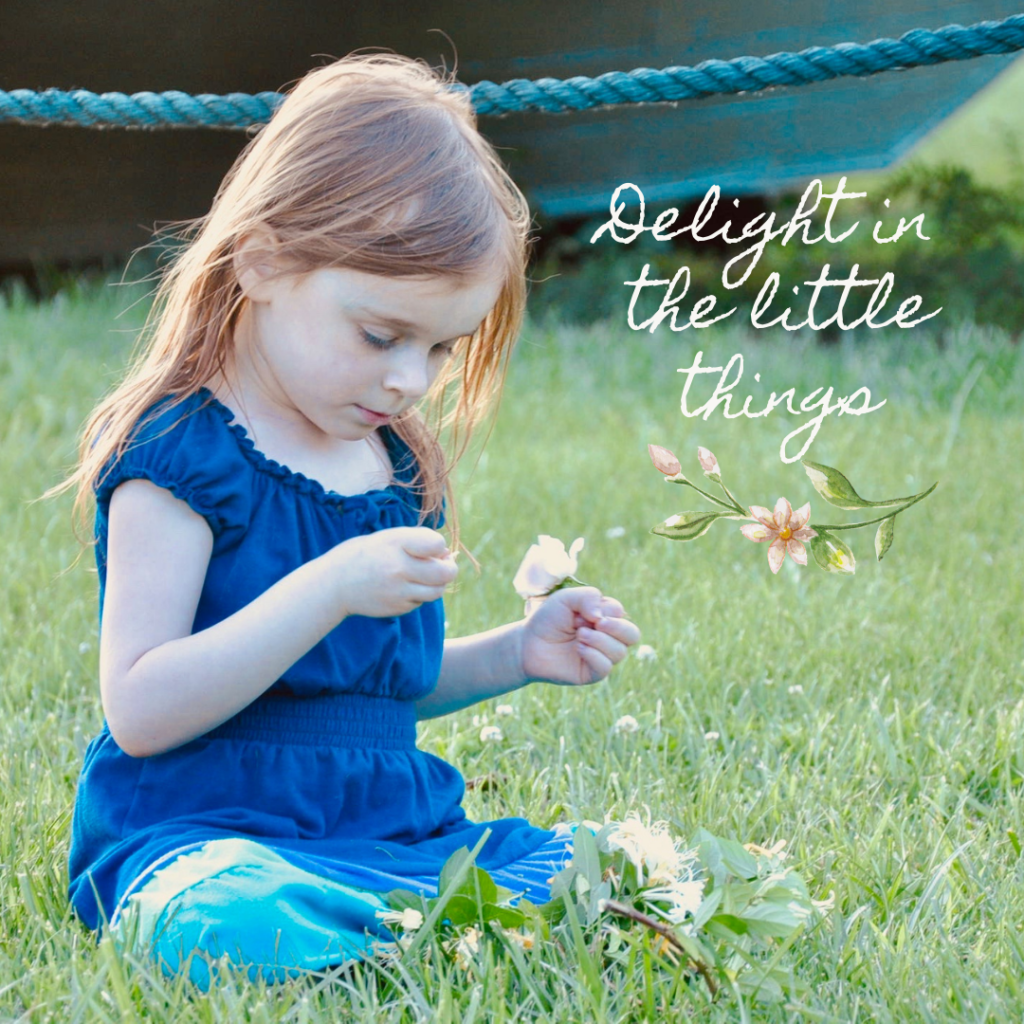 fighting for happiness - delight in the little things
